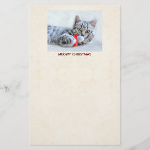 Papelería Feliz Navidad Gatito Gris Atigrado