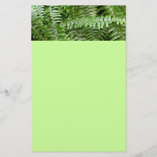 Papelería Fern Fronds I Green Nature