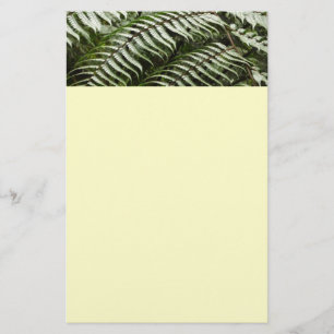 Papelería Fern Fronds II Naturaleza verde oscura
