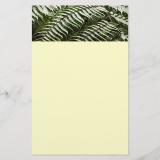 Papelería Fern Fronds II Naturaleza verde oscura