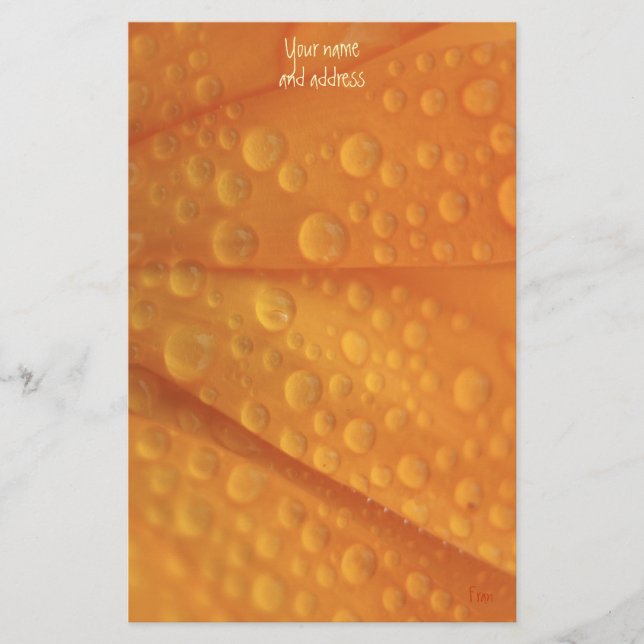 Papelería fizzie naranja (Anverso)