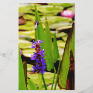 Papelería Flagelación voladora