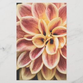 Papelería Flor Dahlia de verano (arte floral)