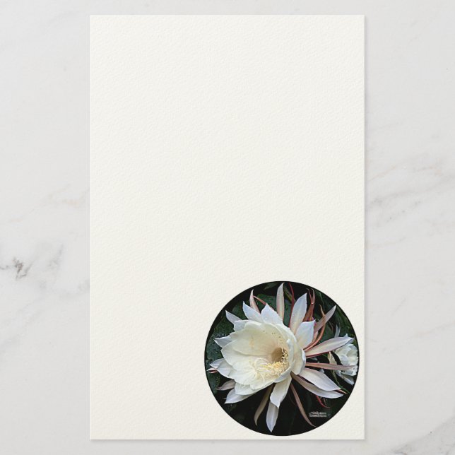 Papelería Flor de Cactus Epífita (Anverso)