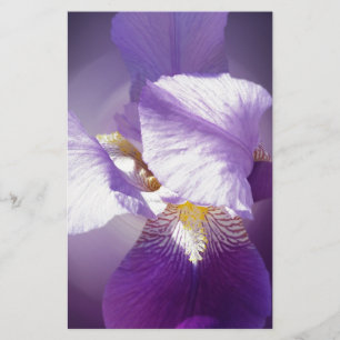 Papelería flor de iris púrpura