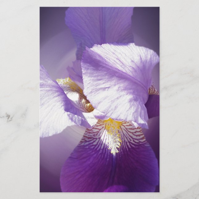 Papelería flor de iris púrpura (Anverso)