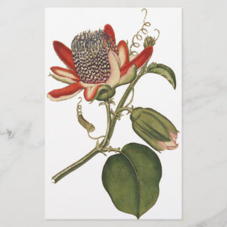 Papelería Flor de pasión vintage
