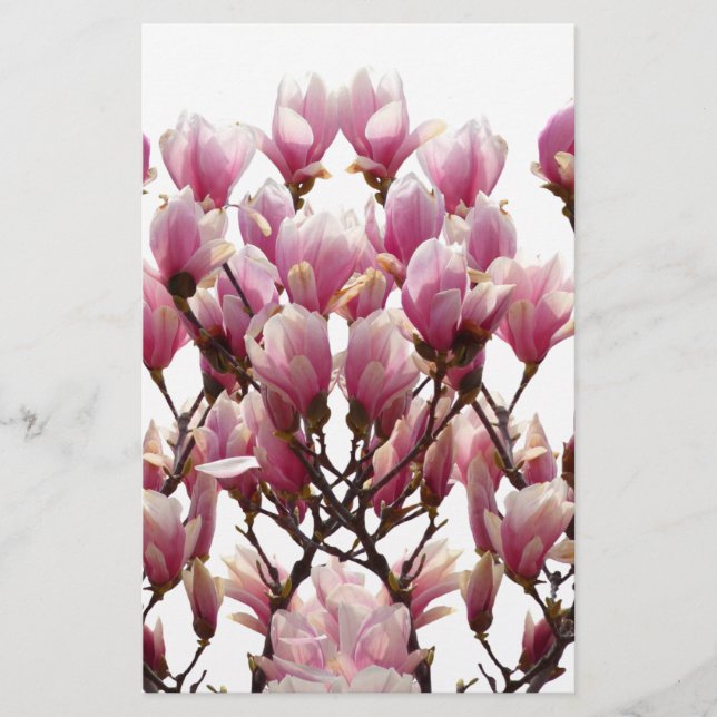 Papelería Flor de primavera de Magnolias rosadas en flor (Anverso)