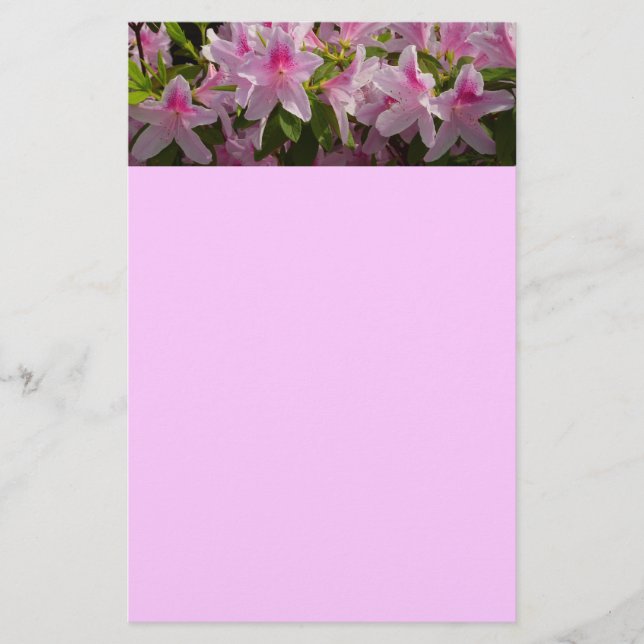 Papelería Flor de primavera rosada de Azalea Bush (Anverso)