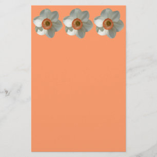 Papelería Flor de primavera rosada de Daffodil