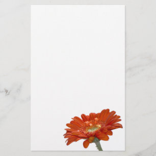 Papelería Flor del Gerbera de la margarita anaranjada