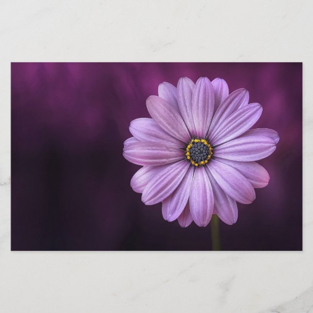Papelería Flor morada en flor (Anverso)