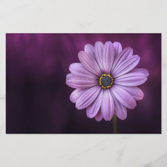 Papelería Flor morada en flor (Anverso)