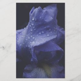 Papelería Flor morada Rosa