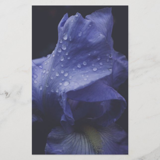 Papelería Flor morada Rosa (Anverso)