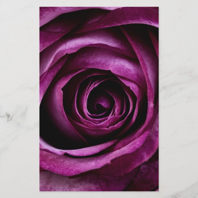 Papelería Flor morada Rosa (Anverso)