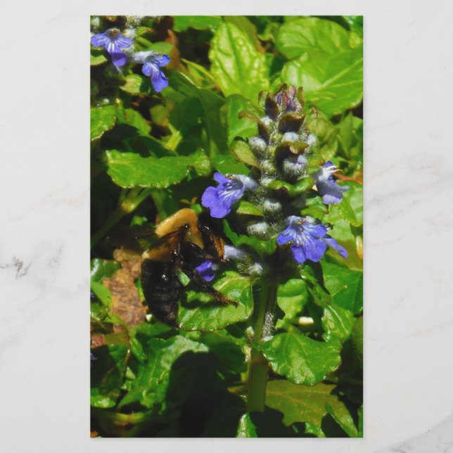 Papelería Flor morada y abeja burbuja (Anverso)