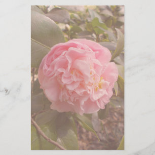Papelería Flor Rosa