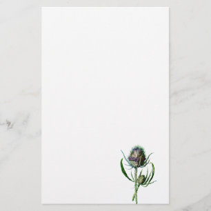 Papelería Flor salvaje de la antigüedad del cardo del