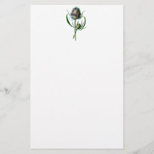 Papelería Flor salvaje de la antigüedad del cardo del
