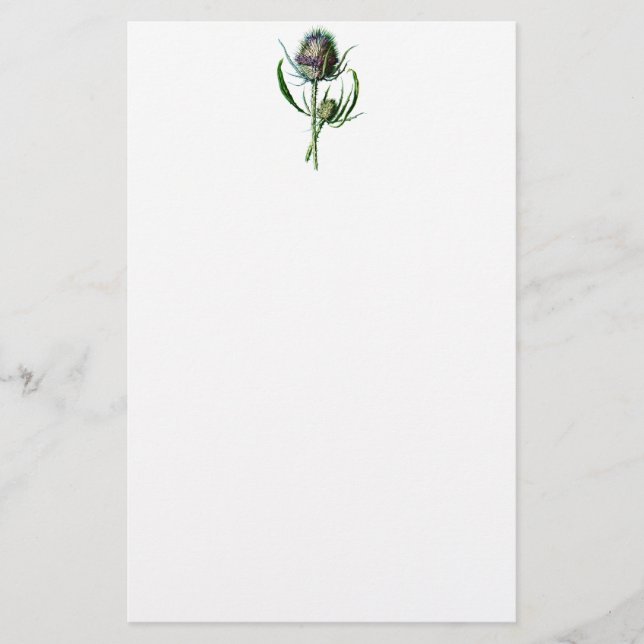 Papelería Flor salvaje de la antigüedad del cardo del (Anverso)