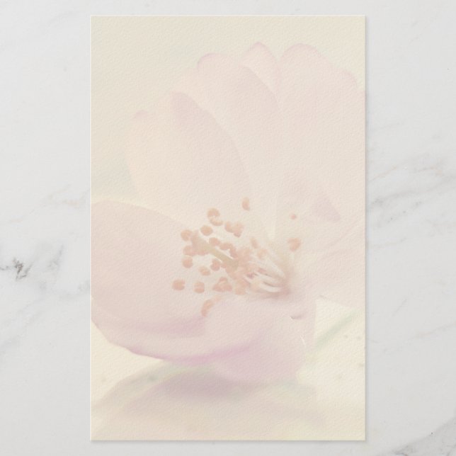 Papelería Flor suave de cerezo rosa suave (Anverso)