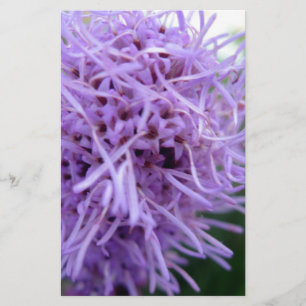 Papelería Flor violeta Tentacle Spider