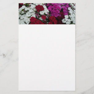 Papelería Floral blanca, rosa y roja de Dianthus