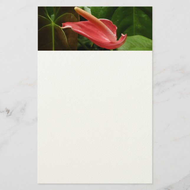 Papelería Floral de Calla Rosa Lily Elegant (Anverso)