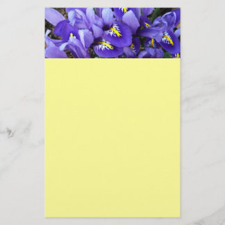 Papelería Floral de primavera de irlandeses azules en miniat
