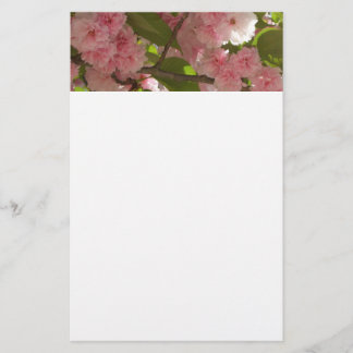 Papelería Floral de primavera del árbol de cerezo III con do