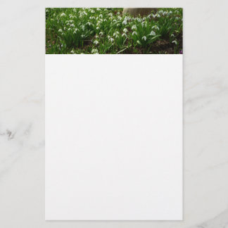 Papelería Floral de primavera (Galanthus)