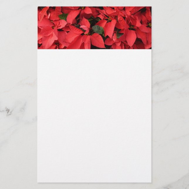 Papelería Floral navideña de Navidades de la Poinsettias Roj (Anverso)