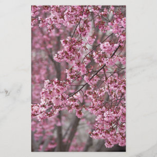 Papelería Florecimiento de cerezo sakura en rosa