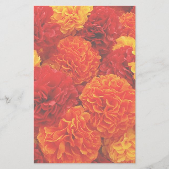 Papelería Flores (Anverso)