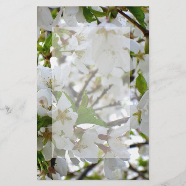 Papelería Flores blancas, cerezo florido (Anverso)