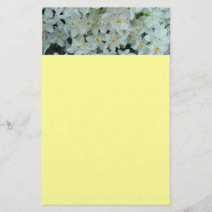 Papelería Flores blancas de arcissus paperblancas