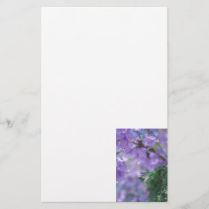 Papelería Flores de árbol de jacarandá morado