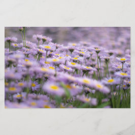 Papelería Flores de Aster Púrpura