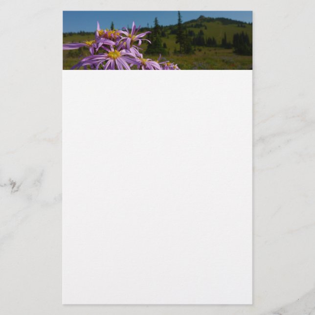Papelería Flores de Aster Púrpura en Mount Rainier (Anverso)