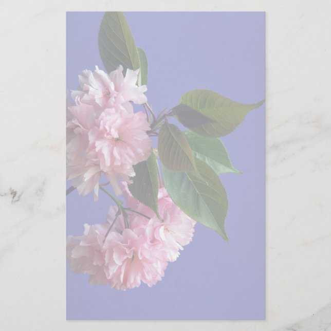 Papelería Flores de cerezo (Anverso)