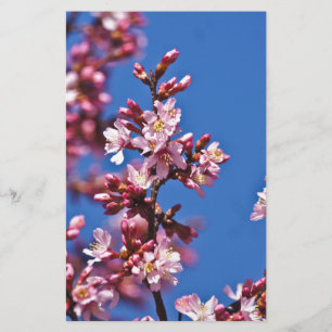Papelería Flores de cerezo sakura tocan el azul