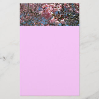Papelería Flores de cerezo y de primavera rosada de abeja