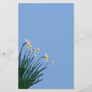 Papelería Flores de Daffodil Estacionamiento