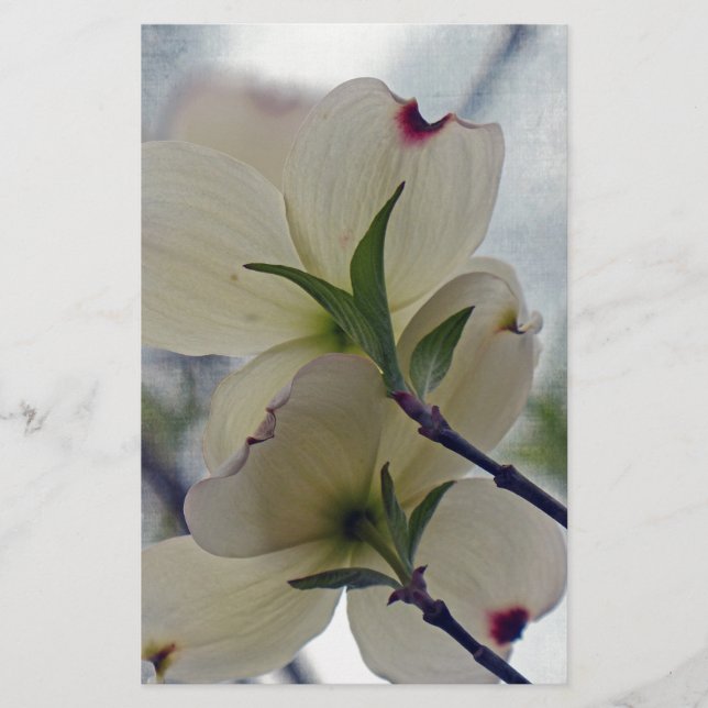Papelería Flores de dogwood (Anverso)