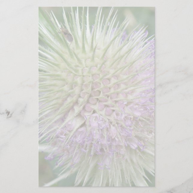 Papelería Flores de hierba salvaje (Anverso)