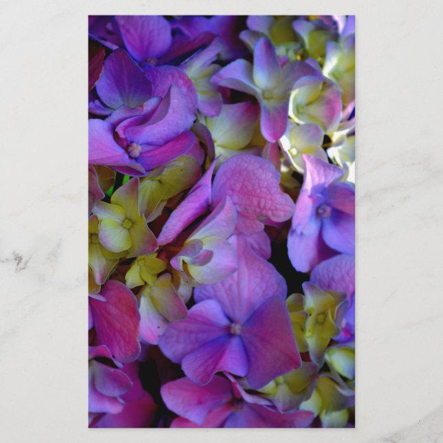 Papelería Flores de Hydrangeas azul morado (Anverso)