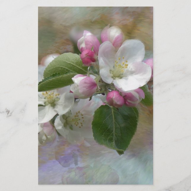 Papelería Flores de manzana (Anverso)