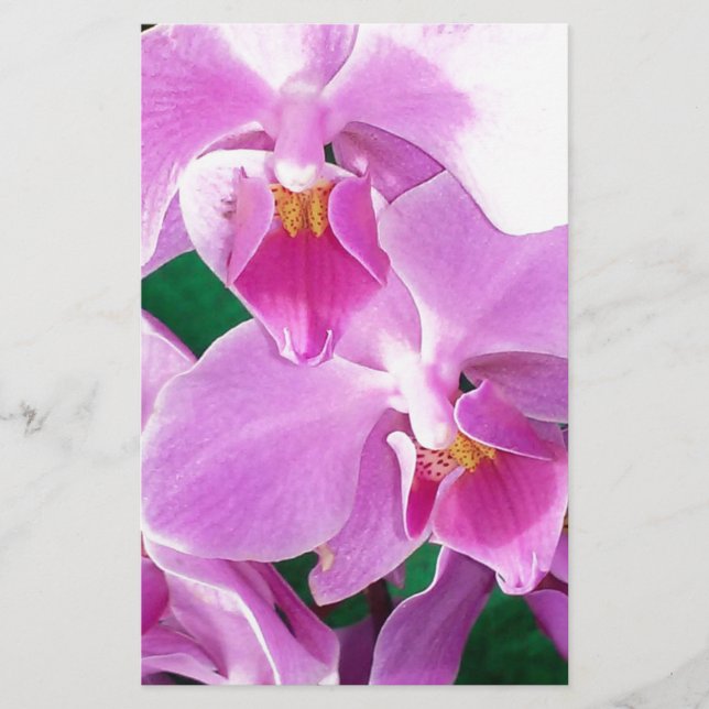 Papelería Flores de orquídeas cerradas en rosa (Anverso)
