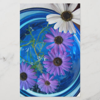 Papelería Flores en piscina azul
